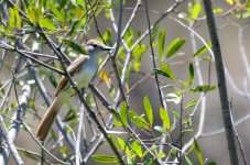 1st and 2nd Aug 2015 175.JPG