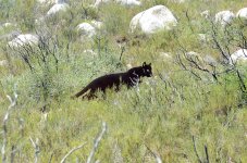 1st and 2nd Aug 2015 189.JPG