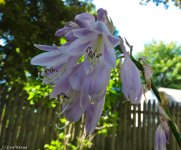 DSCN0099.jpg