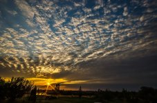 DSC_0612-2.jpg