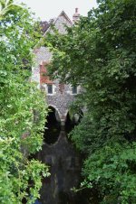 DSC_0371.jpg
