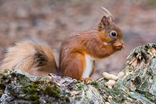 DSC_4288.jpg