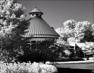 Fellows Riverside Gardens IR  8-2-15   1BW2.jpg