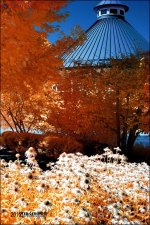 Fellows Riverside Gardens IR  8-2-15   2.jpg