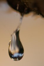 DSC_5884-sap drop -0001-2015-08-03T21_15_30.jpg