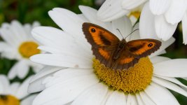 DSC_0759.jpg