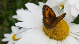 DSC_0760.jpg