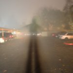 CSC_5525sq1K.jpg