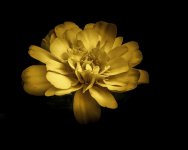 _DSC6314-Edit-Edit.jpg