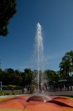 4th Aug 2015 006.JPG