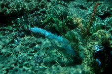 4th Aug 2015 032.JPG