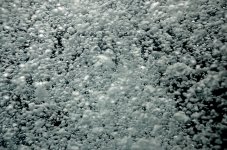 4th Aug 2015 059.JPG