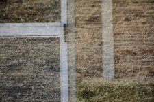 dbl x screen door #32.jpg