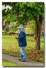 lady-working-1.jpg