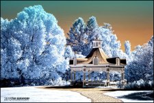 Fellows Riverside Gardens IR  8-2-15   14.jpg