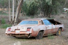 6th Aug 2015 009.JPG