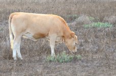 6th Aug 2015 013.JPG