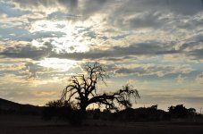 6th Aug 2015 019.JPG