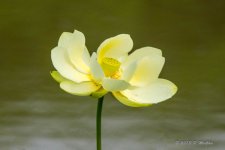 D71_5575-Edit.jpg