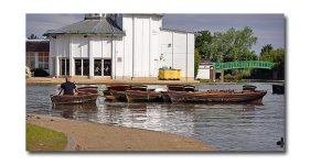 DSC_0921.jpg