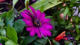 DSC_4470.jpg