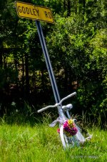 DSC_0243-Edit.jpg