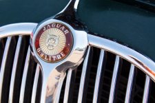 CoffeeCars-77.jpg