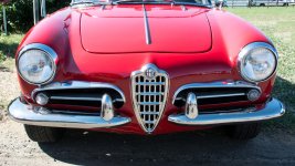 CoffeeCars-76.jpg