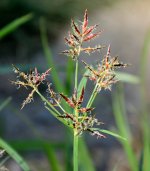 8th Aug 2015 022.JPG