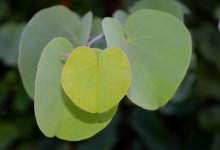 8th Aug 2015 026.JPG