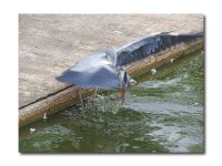 DSCN2958.jpg