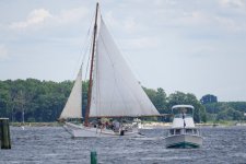DSC_4487_DxO.jpg