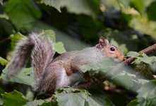 DSC_0003.jpg