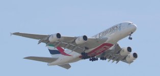 DSC_0426.jpg