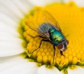 DSC_4388.jpg