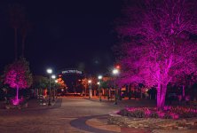 Maple Street Plaza at Night - 08 August 2015.jpg
