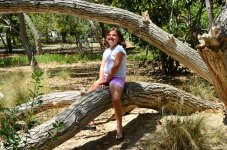 9th Aug 2015 017.JPG