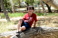 9th Aug 2015 018.JPG