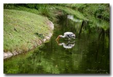 eating-zoo (1).jpg