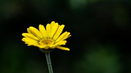 D0034 (36).jpg