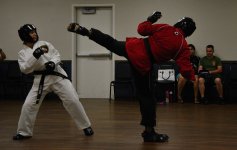 10th Aug 2015 006.JPG