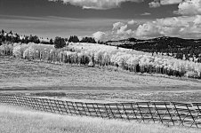140 - Version 3.jpg