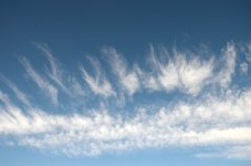 11th Aug 2015 002.JPG