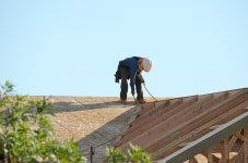 11th Aug 2015 007.JPG