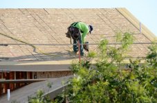 11th Aug 2015 008.JPG