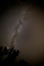 20150811-_DSC1811.jpg
