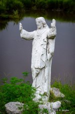 DSC_0248.jpg