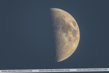 DSC_0041.jpg