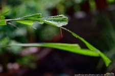 GSC_6791.jpg