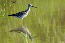 12th Aug 2015 016.JPG